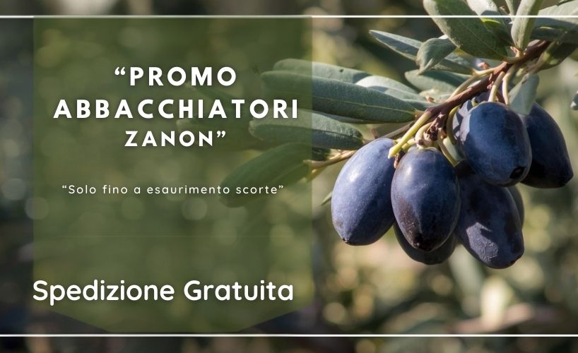 Promozioni TMAStore