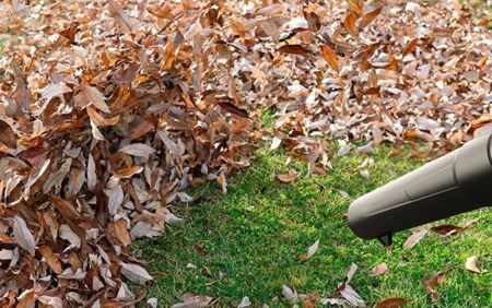 Elementi essenziali per la potatura delle siepi e il soffiaggio delle foglie