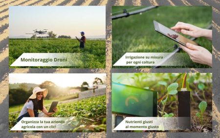 News - I Migliori Strumenti per Ottimizzare la Tua Attività Agricola