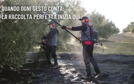 News - Quando ogni gesto conta